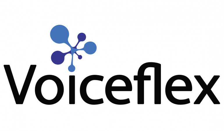 Voiceflex: From Telco to Techco